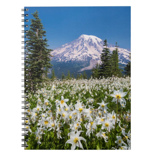 Avalanche lilies och Mount Rainier 2 Anteckningsbok Med Spiral (Framsidan)