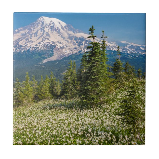 Avalanche lilies och Mount Rainier Kakelplatta (Framsidan)