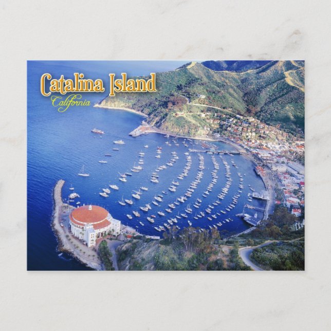 Avalon Bay, Catalina Island, Kalifornien Vykort (Framsida)