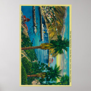 Avalon Bay, Santa Catalina-ön från Skyline Poster