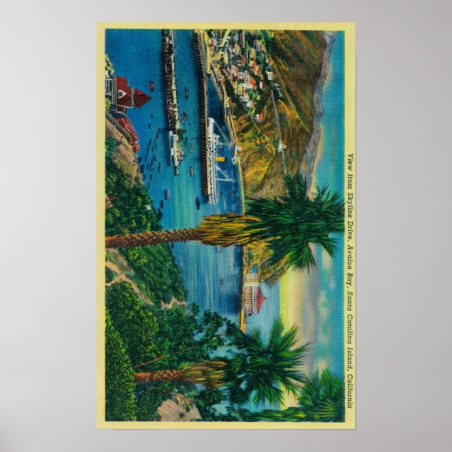 Avalon Bay, Santa Catalina-ön från Skyline Poster (Framsidan)