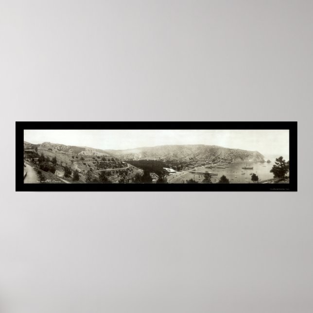 Avalon, CA Catalina Island Photo 1910 Poster (Framsidan)