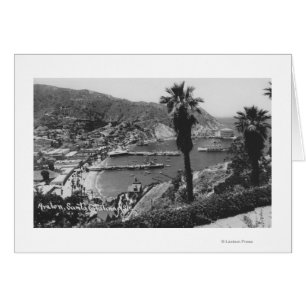 Avalon, CA Santa Catalina Island View of Harbor Hälsningskort