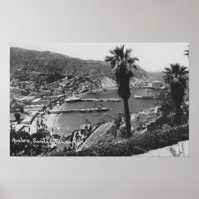 Avalon, CA Santa Catalina Island View of Harbor Poster (Framsidan)