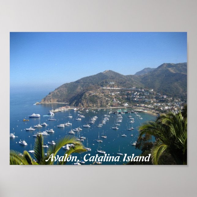 Avalon, ön Catalina Poster (Framsidan)