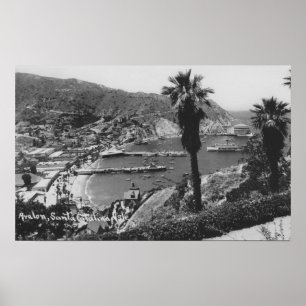 Avalon ön för CA Santa Catalina beskådar av ham Poster