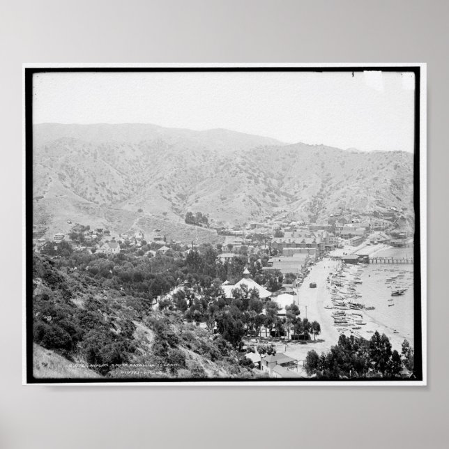 Avalon, Santa Catalina Island c1903 Poster (Framsidan)