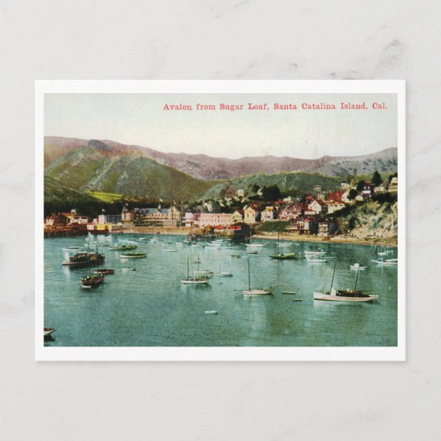 Avalon, Santa Catalina Island, CA-Vintagen Vykort (Framsida)