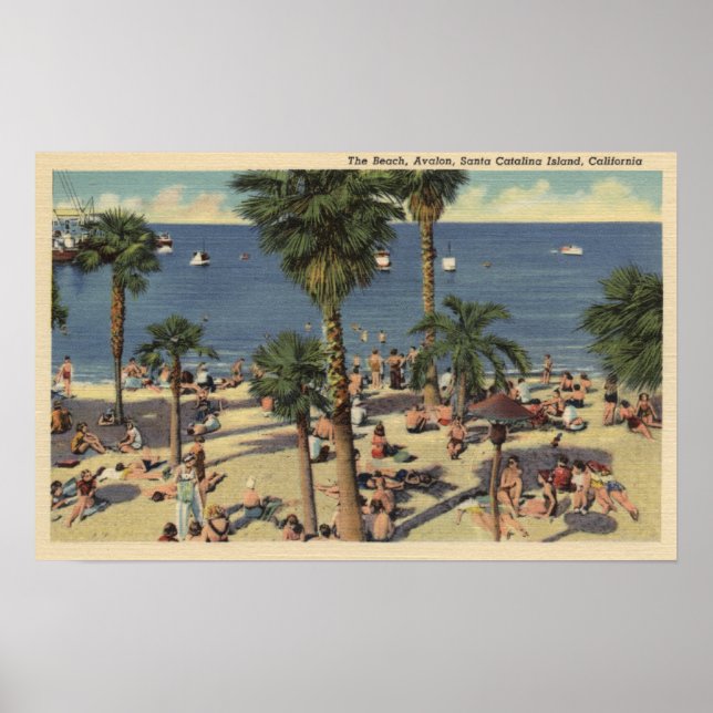 Avalon View of Beach w/ Sunbathers Poster (Framsidan)
