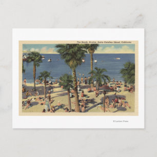 Avalon View of Beach w/ Sunbathers Vykort