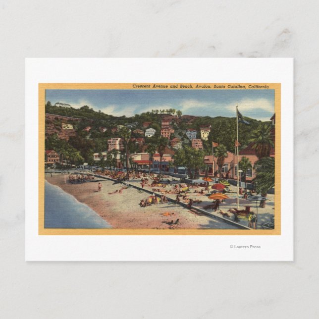 Avalon View of Crescent Ave. & fack Vykort (Framsida)