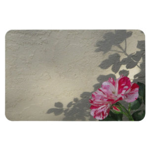 Avant-garde Rose och skugga Magnet