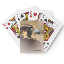 Avantande vinjetterad profil av en peregrine Falco