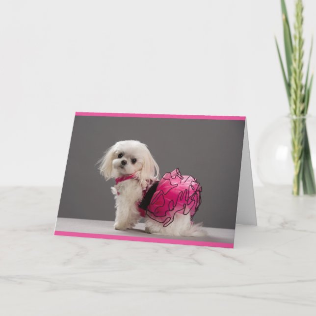 Avas anteckningskort (Framsida)