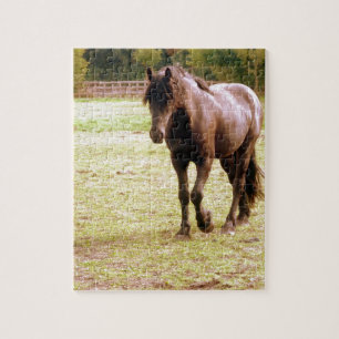 Avaxed Brown Walking Pussel