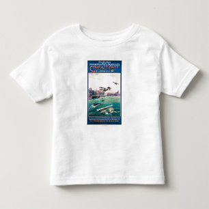 Avbruten befordrings- affisch för flöteflygplan t shirt