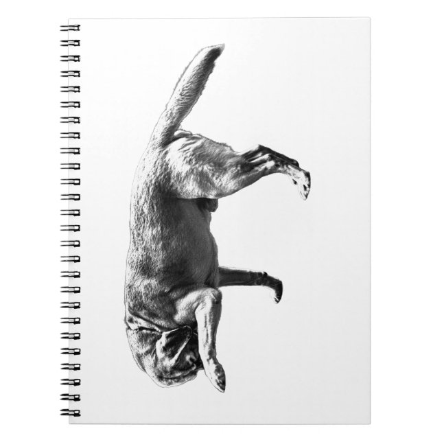 Avbruten paus anteckningsbok (Framsidan)