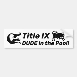 Avdelning IX DUDE i Bassäng! Sluta radera Simman Bildekal