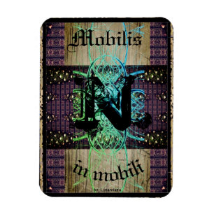 Avdelning nr 9: "Mobilis in mobili" Fluiditet Magnet