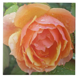 AVDELNING, "PEACHY ORANGE FÄRGAD RO with RAINDROPS Kakelplatta