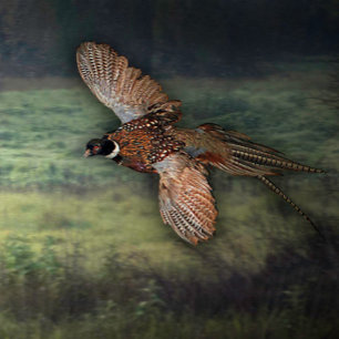 AVDELNING: " TITTAR för BE: Poster