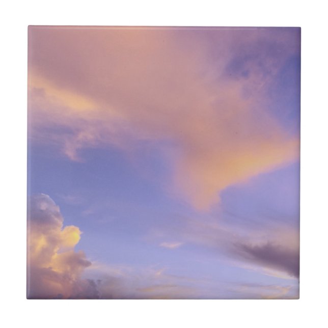AVDELNING/TRIVET "PAINTED HIMMEL" KAKELPLATTA (Framsidan)