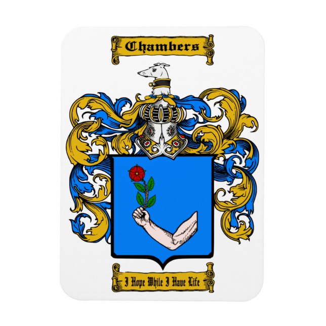 Avdelningar (Irland) Magnet (Vertikal)