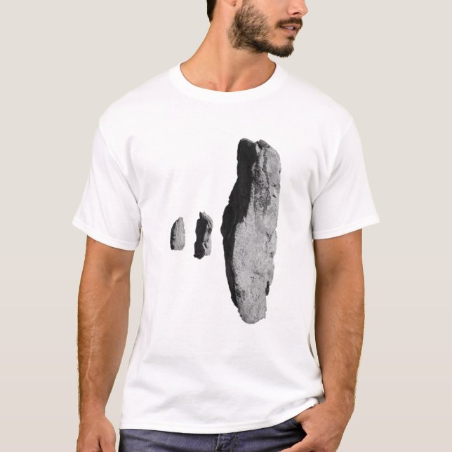 Avebury domarringT-tröja T Shirt (Framsida)