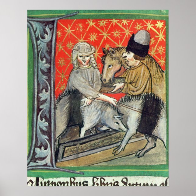 Avel grisar och hästar poster (Framsidan)