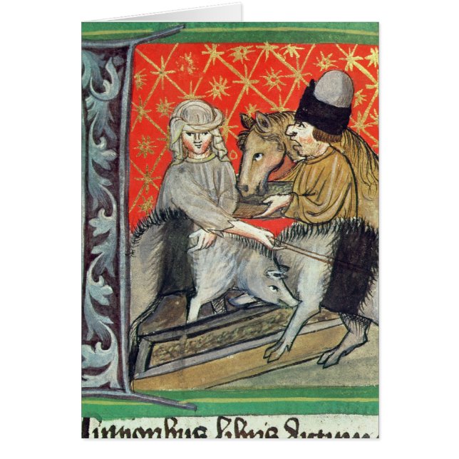 Avelgrisar och hästar hälsningskort (Framsidan)