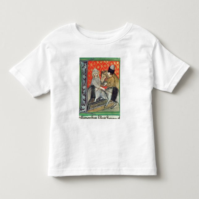 Avelgrisar och hästar tee (Framsida)