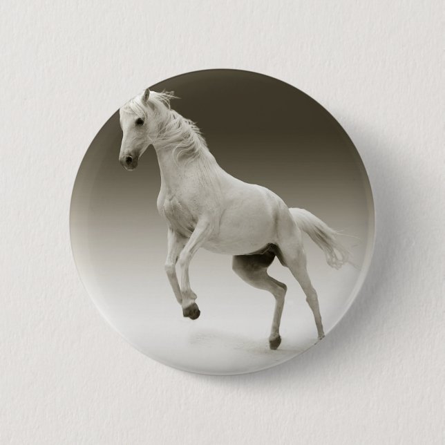 avelshäst knapp (Framsida)