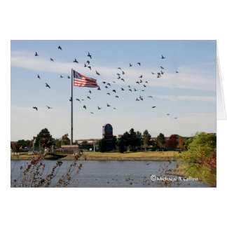 Även älskar ankorna USA Hälsningskort