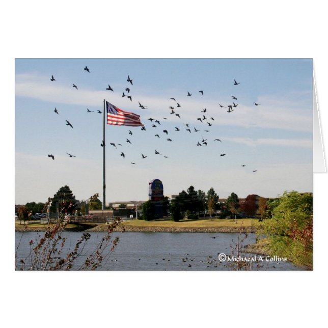 Även älskar ankorna USA Hälsningskort (Framsidan Horizontal)