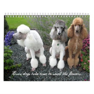 Även hundar tar tid att lukta flowers.na kalender