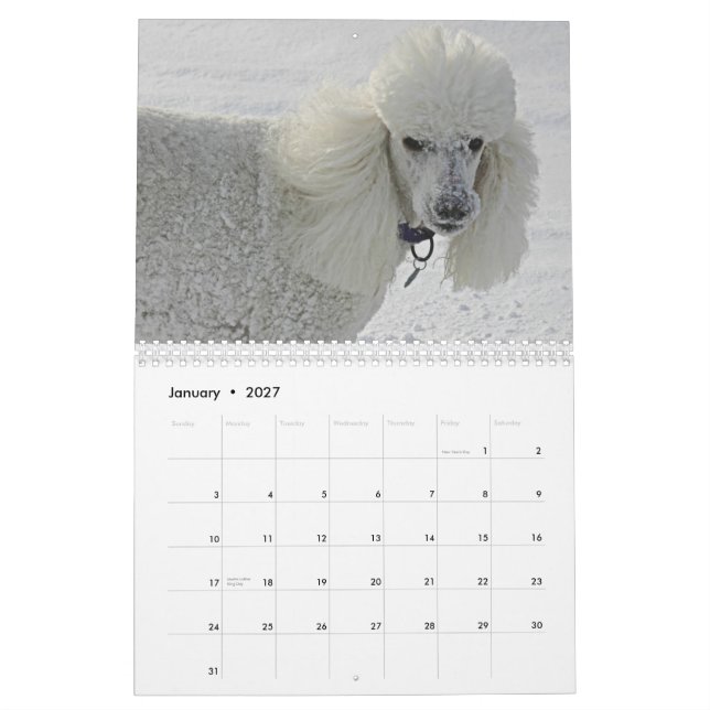 Även hundar tar tid att lukta flowers.na kalender (Jan 2027)