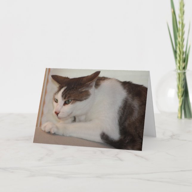 Även kan en bra katt ha en dåligadag! kort (Framsida)