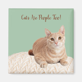 Även katter av kattkött är människor magnet