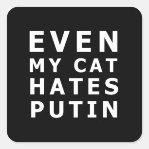 Även min katt hatar putin fyrkantigt klistermärke