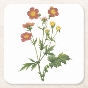 avens(Geum coccineum) av Redouté Underlägg Papper Kvadrat