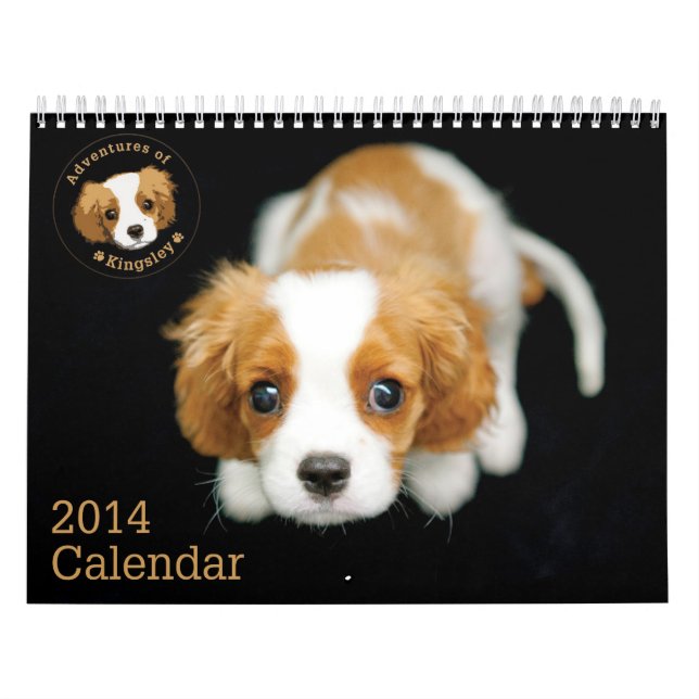 Äventyr av den Kingsley 2014 kalendern Kalender (Omslag)