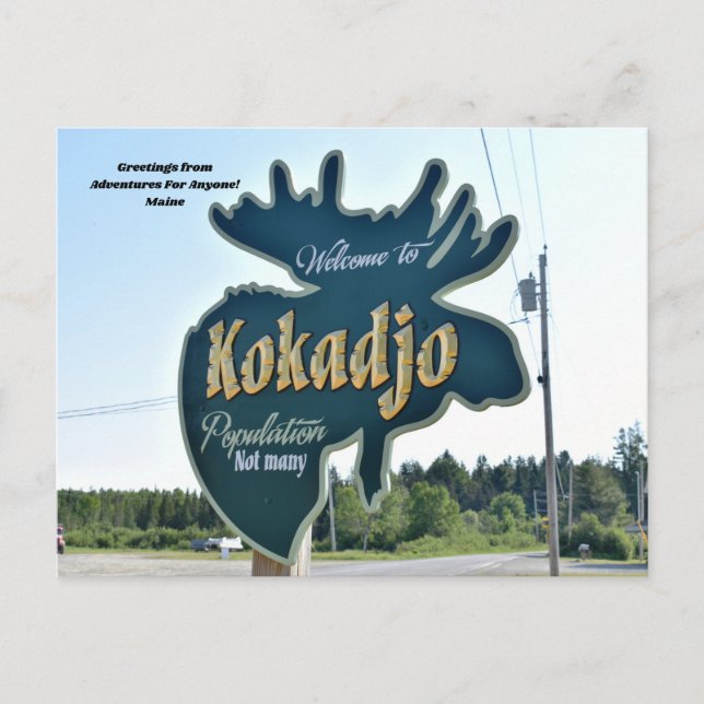 Äventyr för vem som helst Kokadjo, Maine Postcard Vykort (Framsida)
