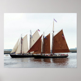 Äventyr och Roseway Poster