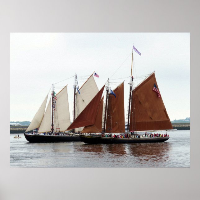 Äventyr och Roseway Poster (Framsidan)