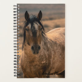 Äventyr Planner w/ Herr Behr