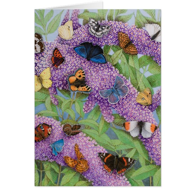 Äventyra 2011 hälsningskort (Framsidan)