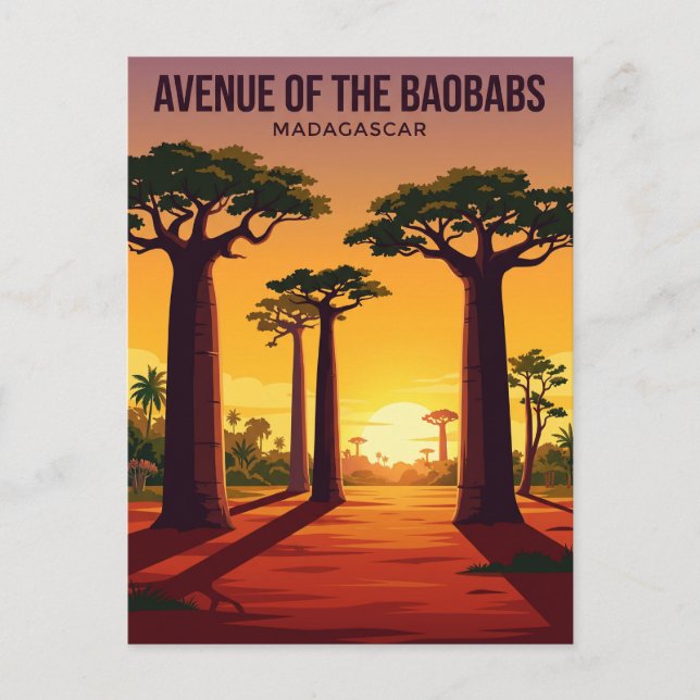 Avenue des Baobabs Madagaskar Vykort (Framsida)