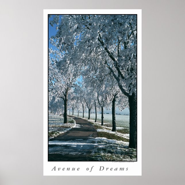 Avenue of Dreams Poster (Framsidan)
