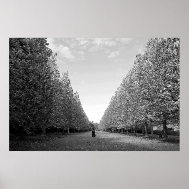 Avenue of Flygplan Träd: Tokyo (svart/vitt) Poster (Framsidan)