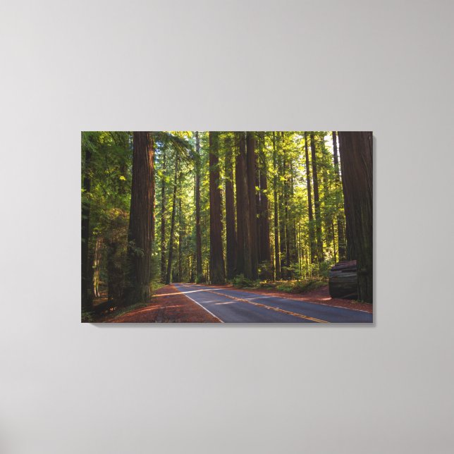 Avenue of Giant Redwood California Canvastryck (Framsida)